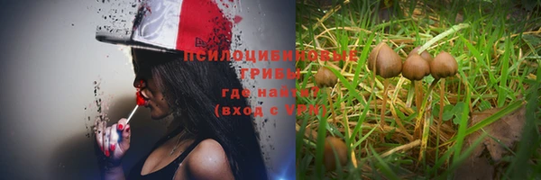 ALPHA PVP Горнозаводск