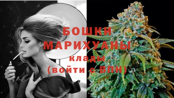 ALPHA PVP Горнозаводск