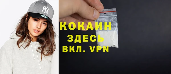 мдпв Горняк