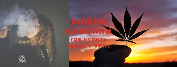 ALPHA PVP Горнозаводск