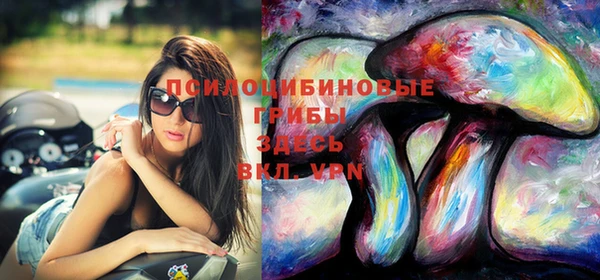 гидра Горно-Алтайск