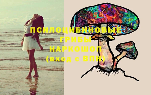 мдпв Горняк