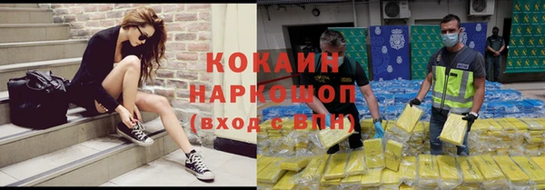 гидра Горно-Алтайск