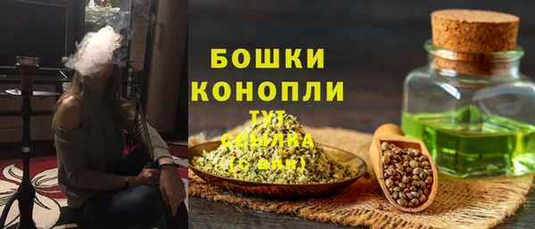 ALPHA PVP Горнозаводск