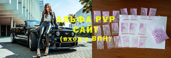 гидра Горно-Алтайск